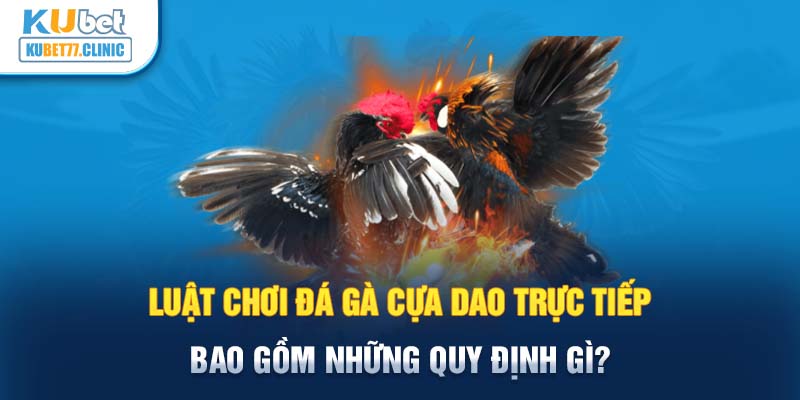 4 lý do nên chọn đá gà cựa dao trực tiếp từ hôm nay