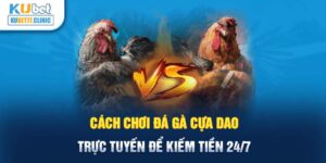 Cách Chơi Đá Gà Cựa Dao Trực Tuyến Để Kiếm Tiền 24/7