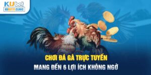 Chơi Đá Gà Trực Tuyến Mang Đến 6 Lợi Ích Không Ngờ