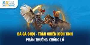 Đá gà chọi - trận chiến kịch tính, phần thưởng khổng lồ