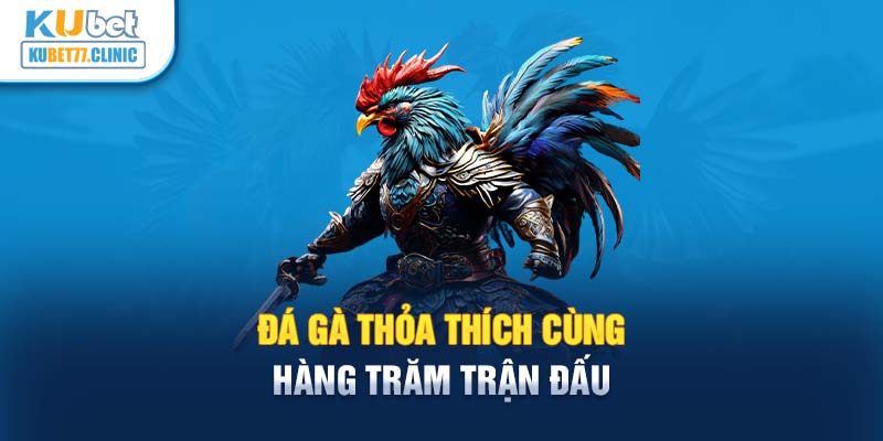 Đá gà thỏa thích cùng hàng trăm trận đấu