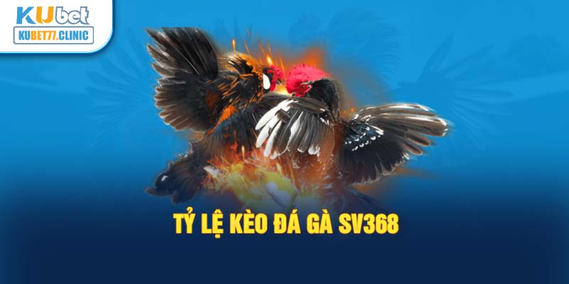 Tỷ lệ kèo đá gà SV368